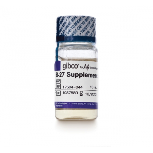 B-27® Supplement (50X), serum free 货号 17...